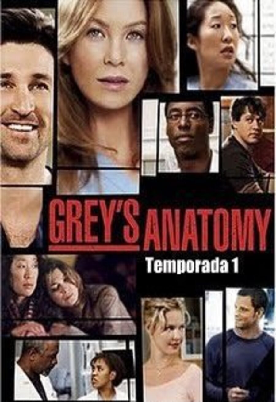 Cartel de Anatomía de Grey - Temporada 1