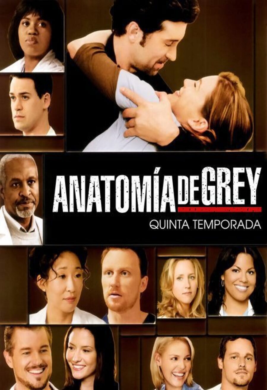 Cartel de Anatomía de Grey - Temporada 5