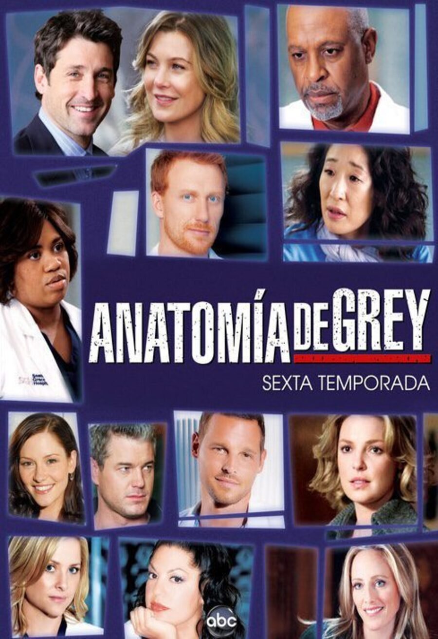 Cartel de Anatomía de Grey - Temporada 6