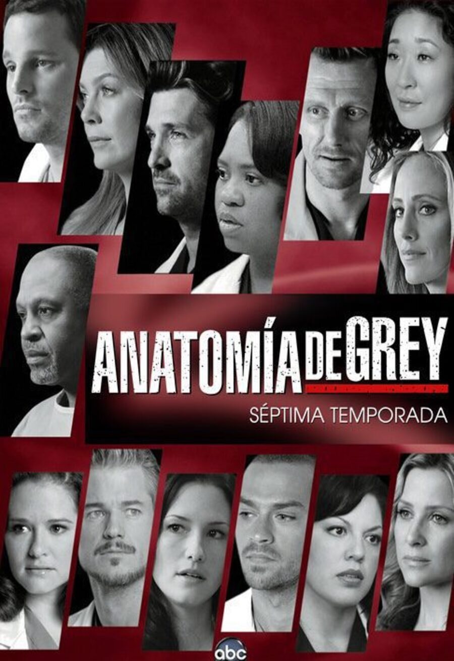 Cartel de Anatomía de Grey - Temporada 7