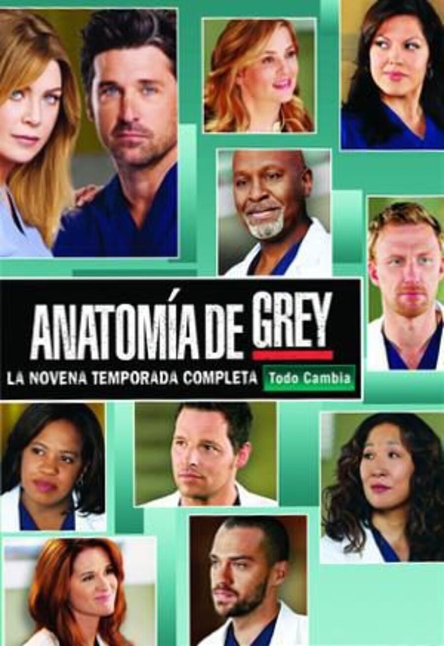 Cartel de Anatomía de Grey - Temporada 9