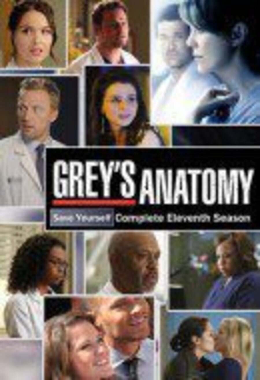 Cartel de Anatomía de Grey - Temporada 11