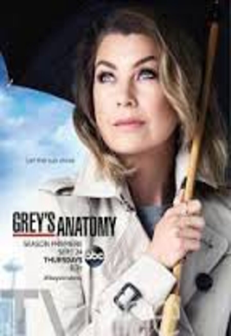 Cartel de Anatomía de Grey - Temporada 12