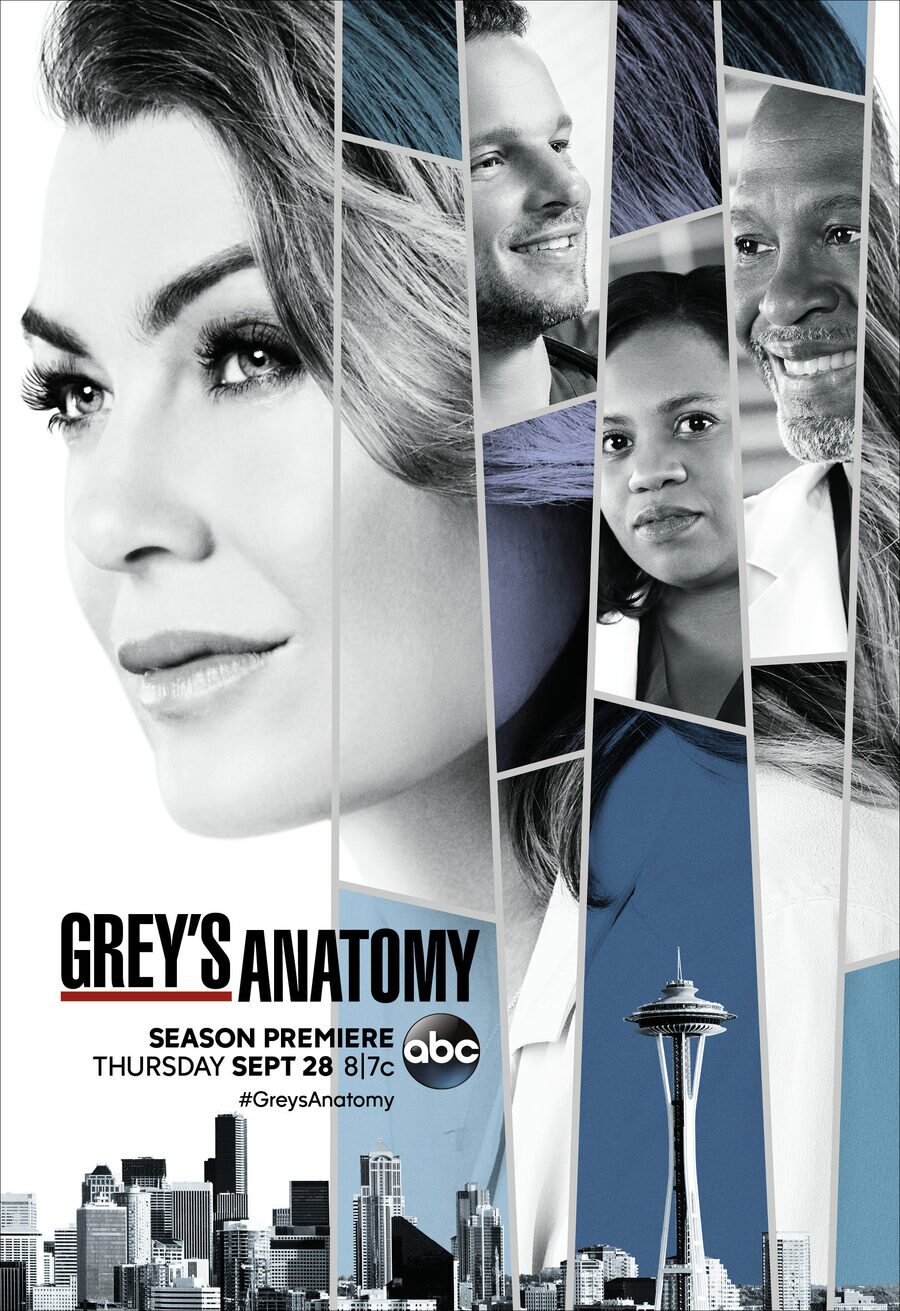 Cartel de Anatomía de Grey - Temporada 14