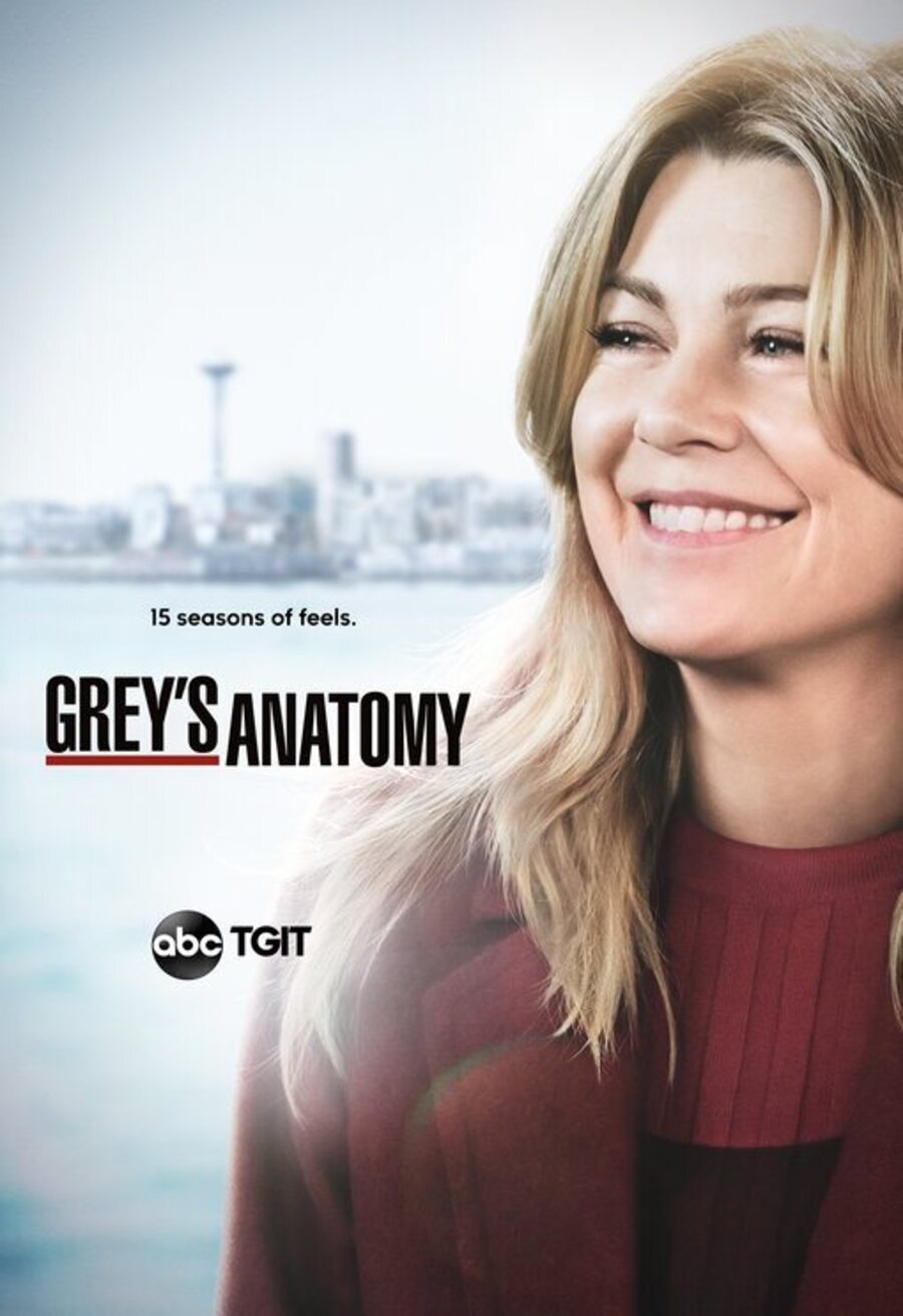 Cartel de Anatomía de Grey - Temporada 15