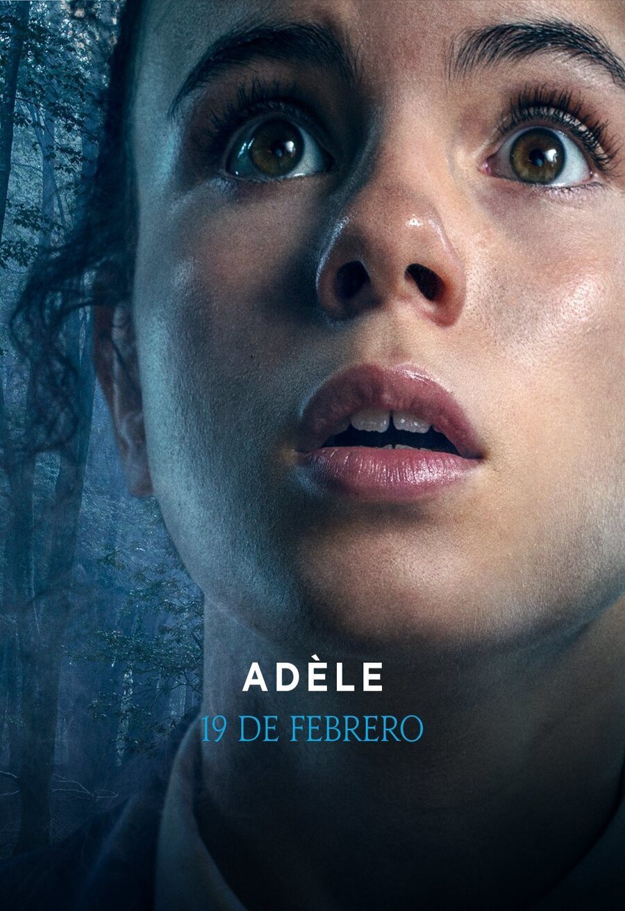 Cartel de El Internado: Las Cumbres - Temporada 1 - Adele