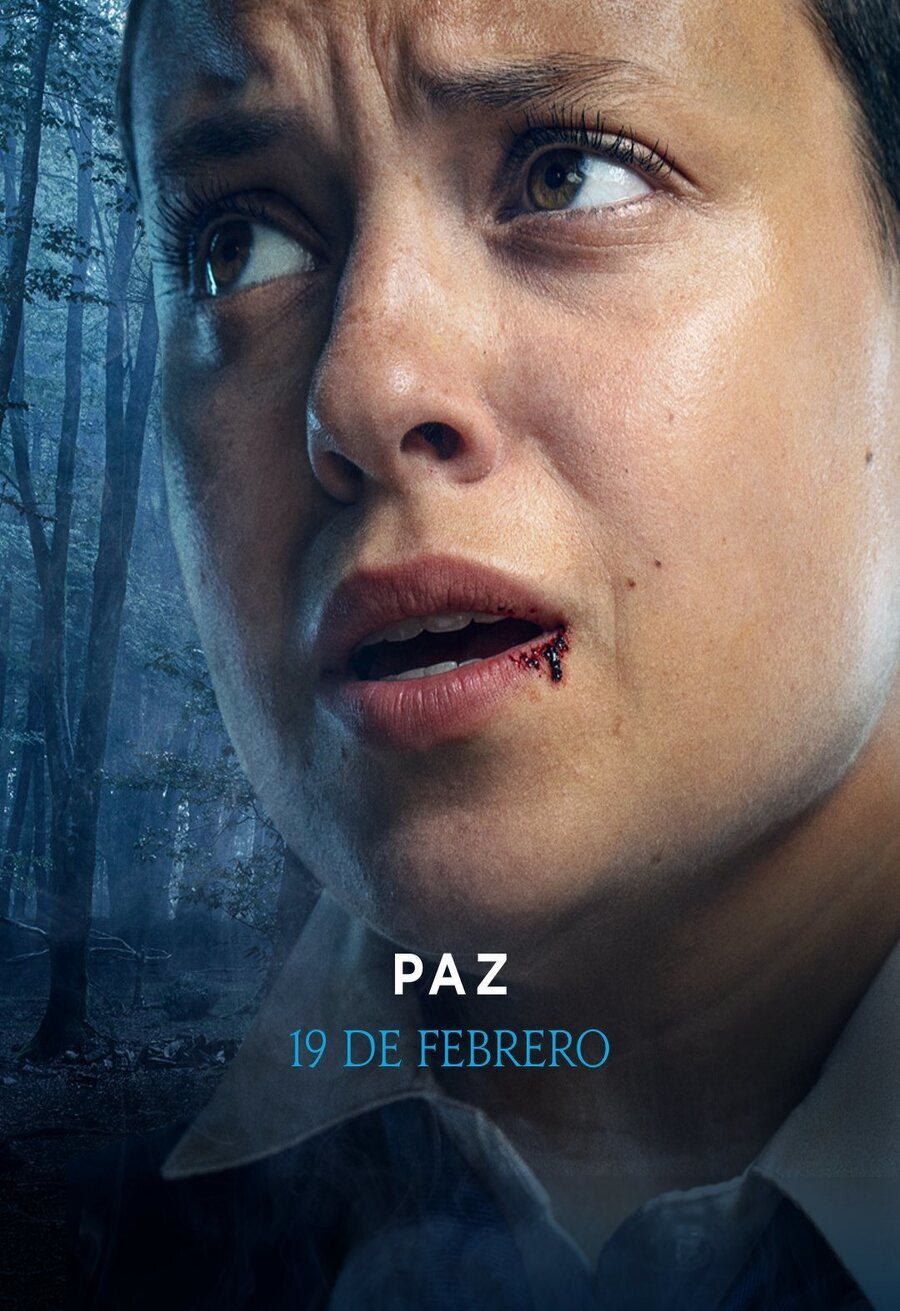 Cartel de El Internado: Las Cumbres - Temporada 1 - Paz