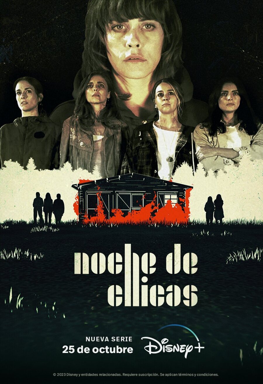 Cartel de Noche de chicas - Cartel oficial