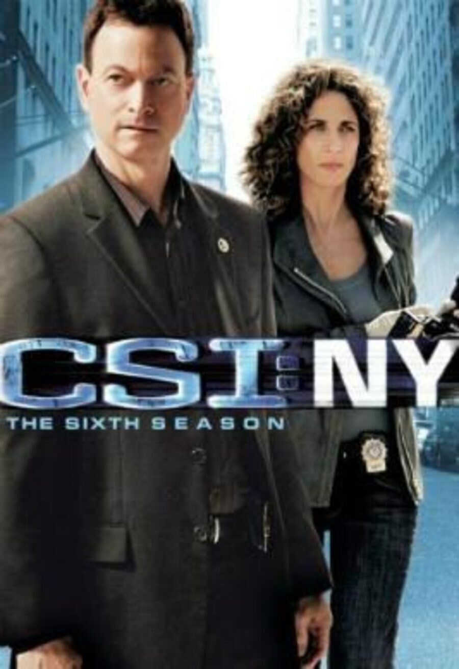 Cartel de CSI: Nueva York - Temporada 6