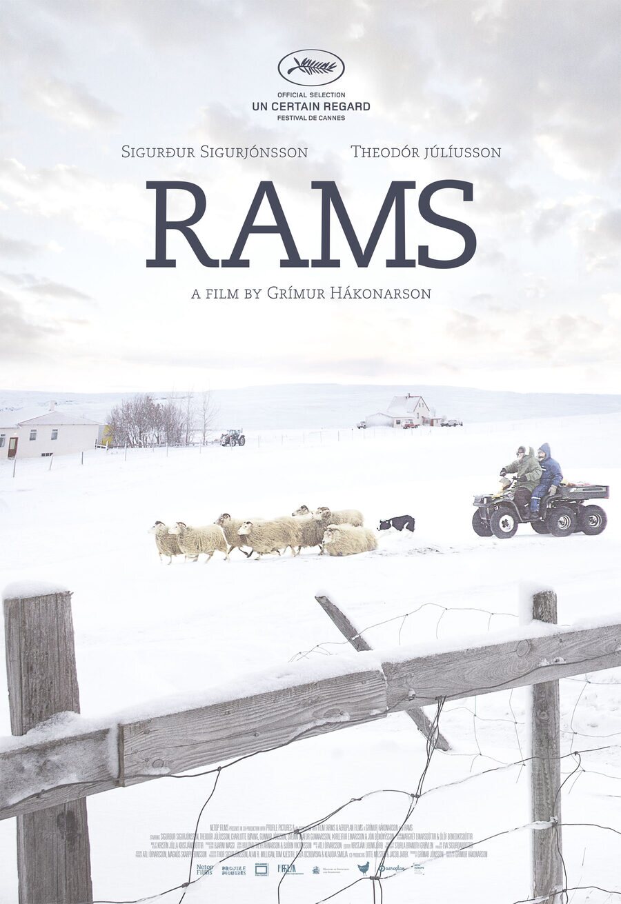 Cartel de Rams (El valle de los carneros) - Reino Unido