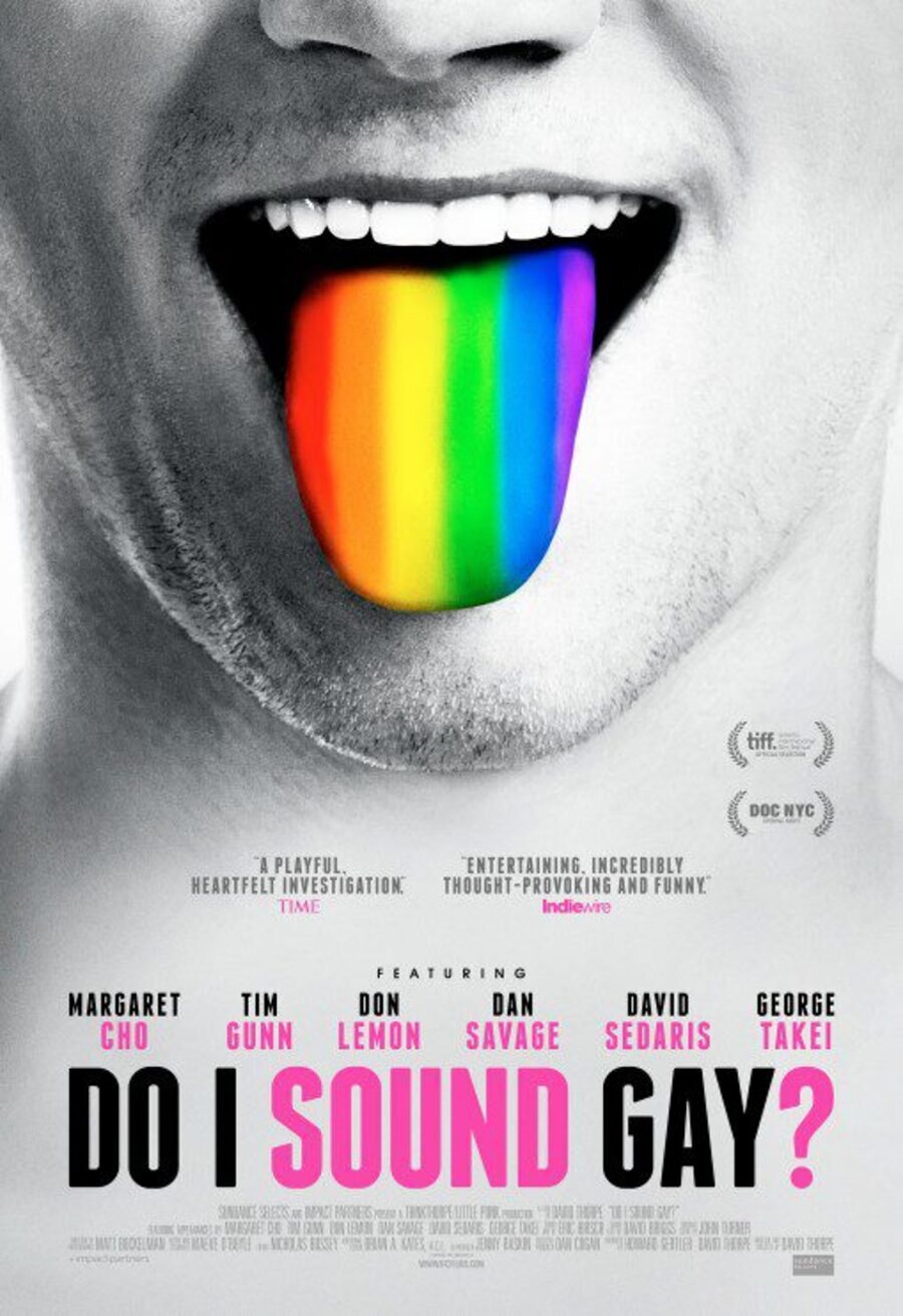 Cartel de Do I Sound Gay? - Do I Sound Gay?