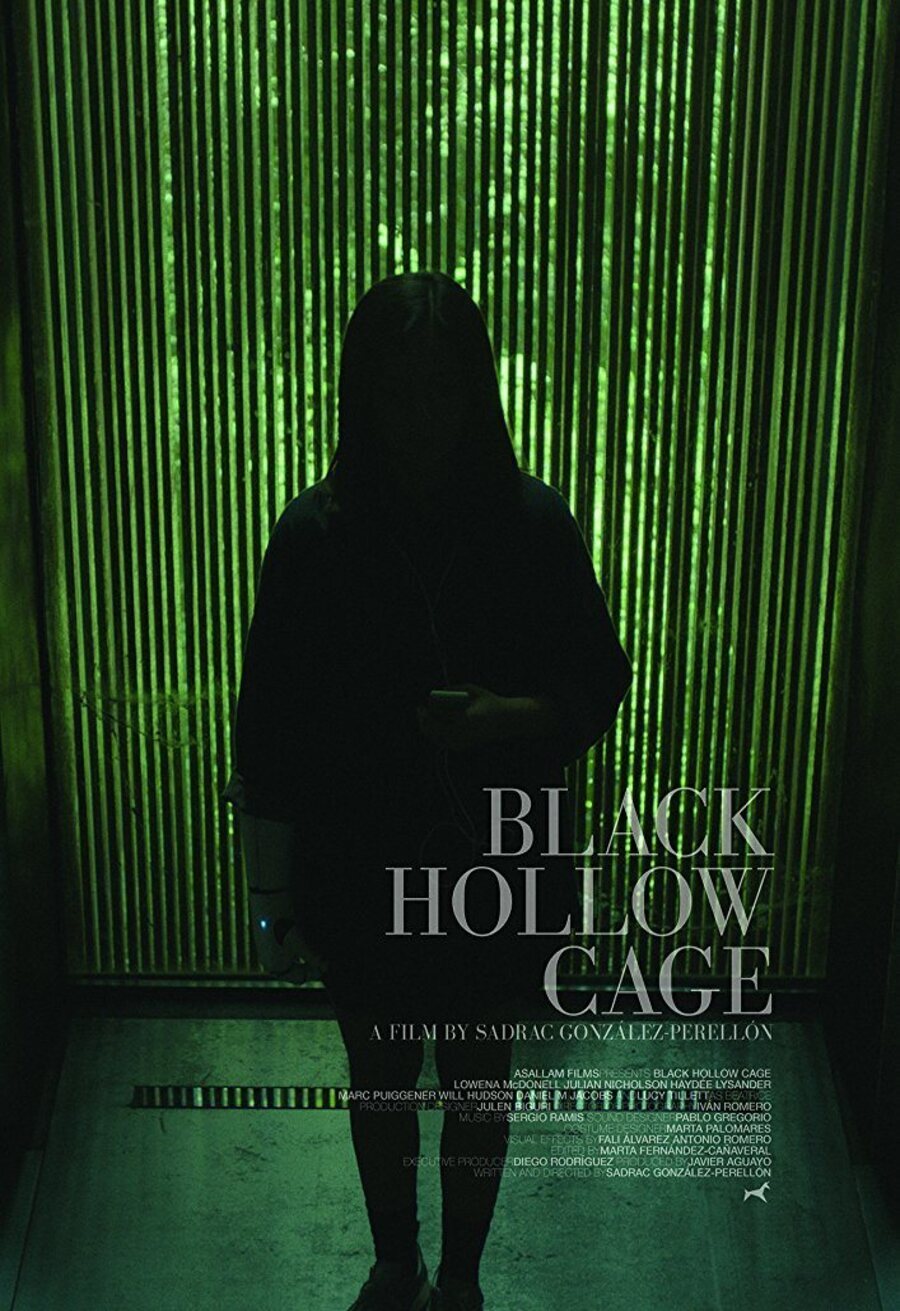 Cartel de Black Hollow Cage - Póster 3 EEUU