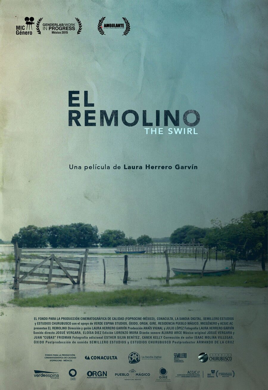 Cartel de El remolino - Cartel