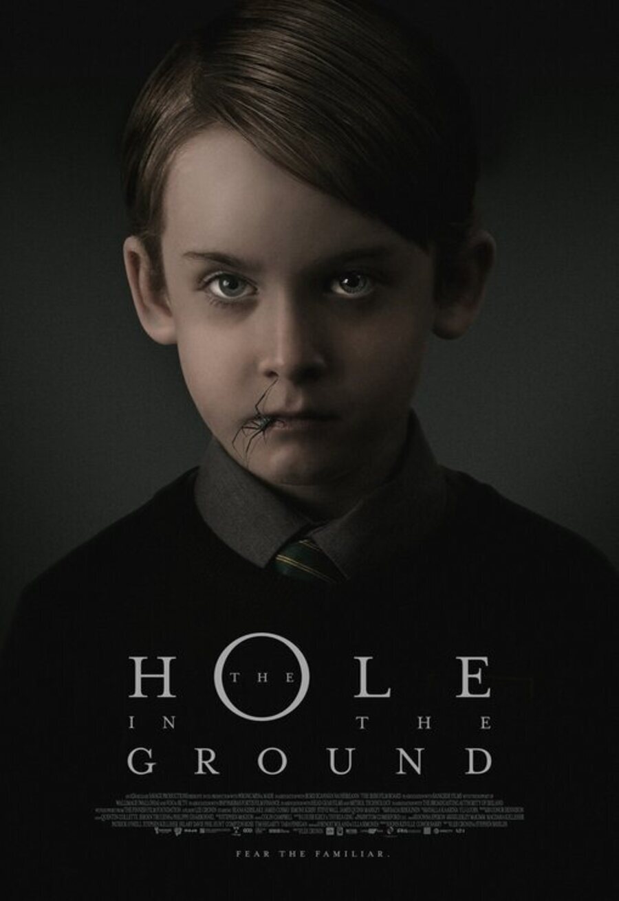 Cartel de Bosque maldito - Poster 'The Hole in the Ground'