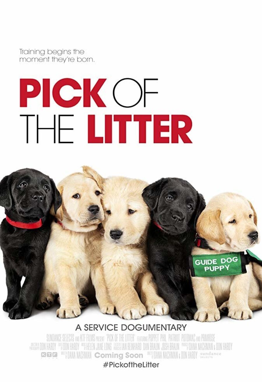 Cartel de Pick of the Litter - Pick of the Litter