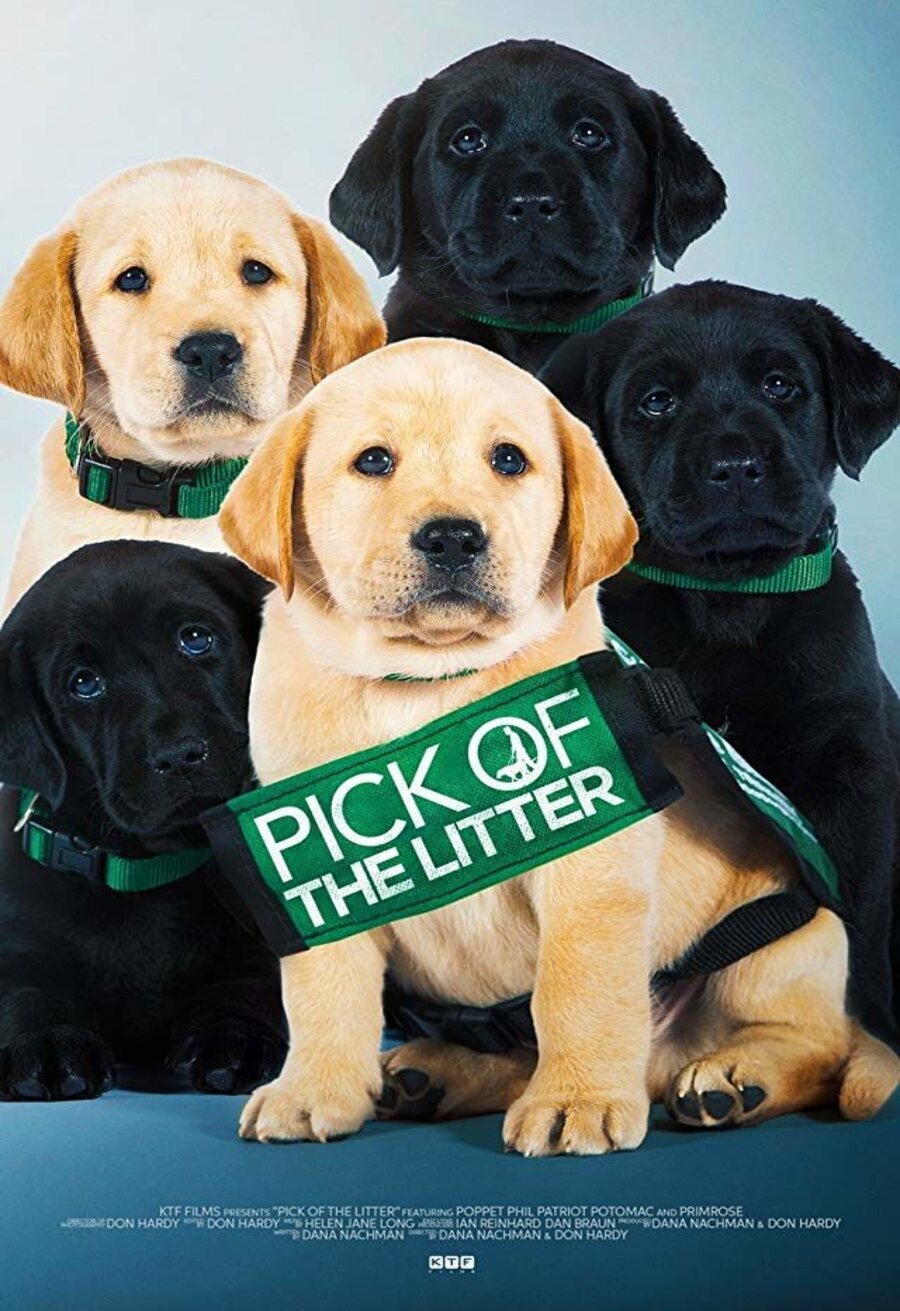 Cartel de Pick of the Litter - Pick of the Litter