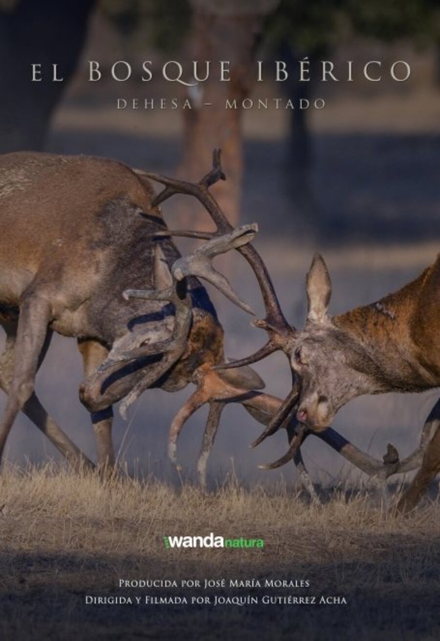 Cartel de Dehesa, el bosque del lince ibérico - 