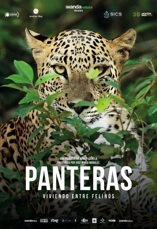 Panteras (2021) - Película eCartelera