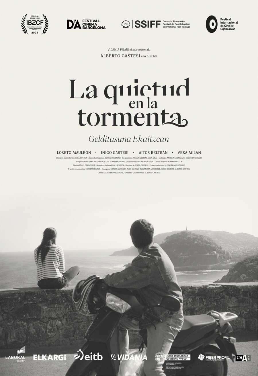 Cartel de La quietud en la tormenta - España