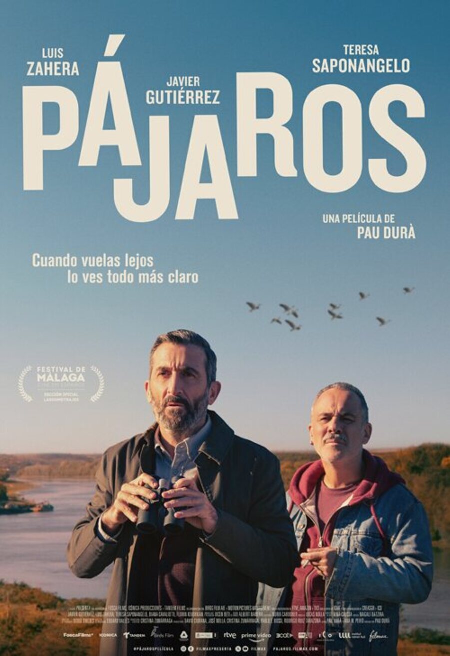 Cartel de Pájaros - Cartel España