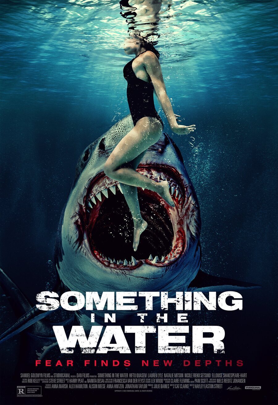 Cartel de Something in the Water - Cartel #2