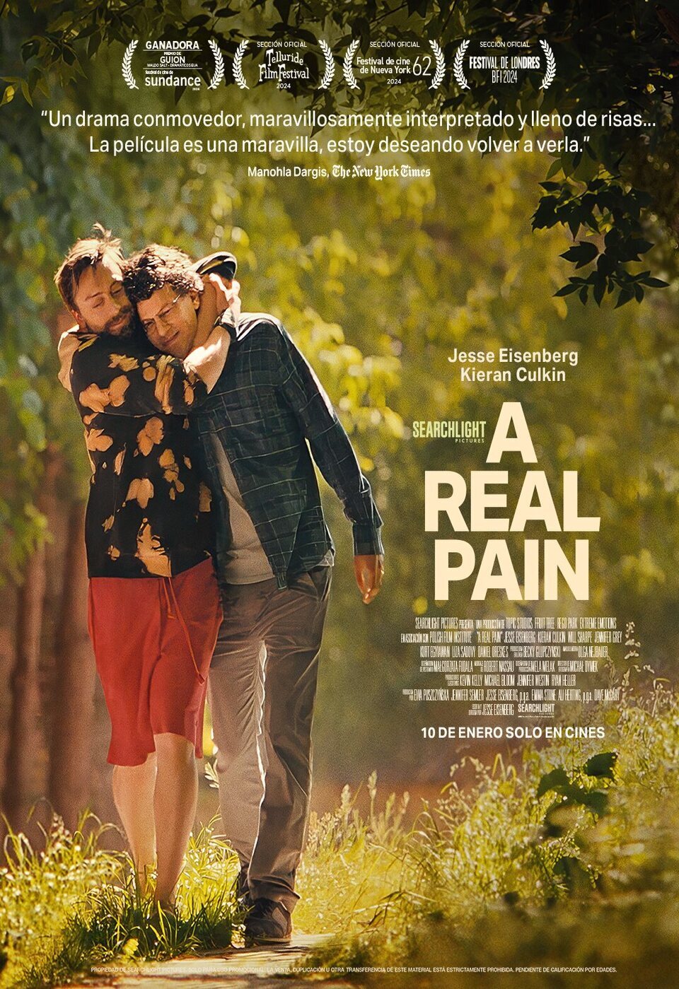 Cartel de A Real Pain - Póster