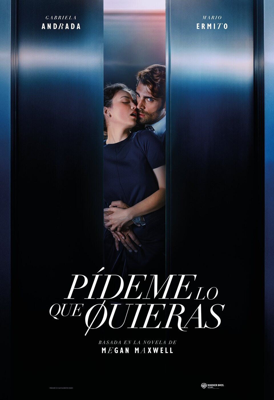 Cartel de Pídeme lo que quieras - Póster oficial