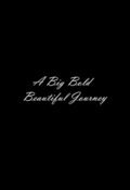 Cartel de A Big Bold Beautiful Journey