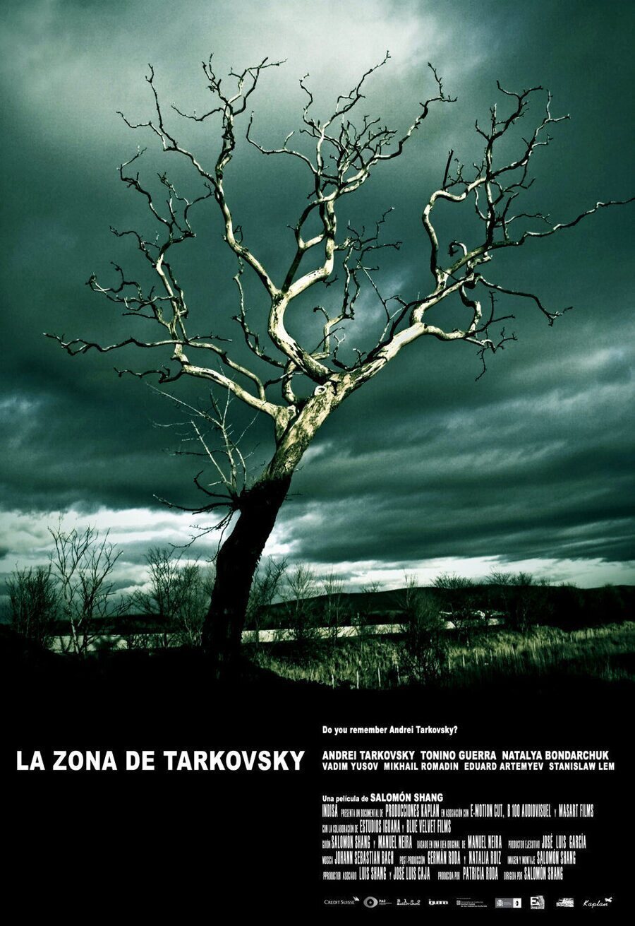 Cartel de La zona de Tarkovsky - España