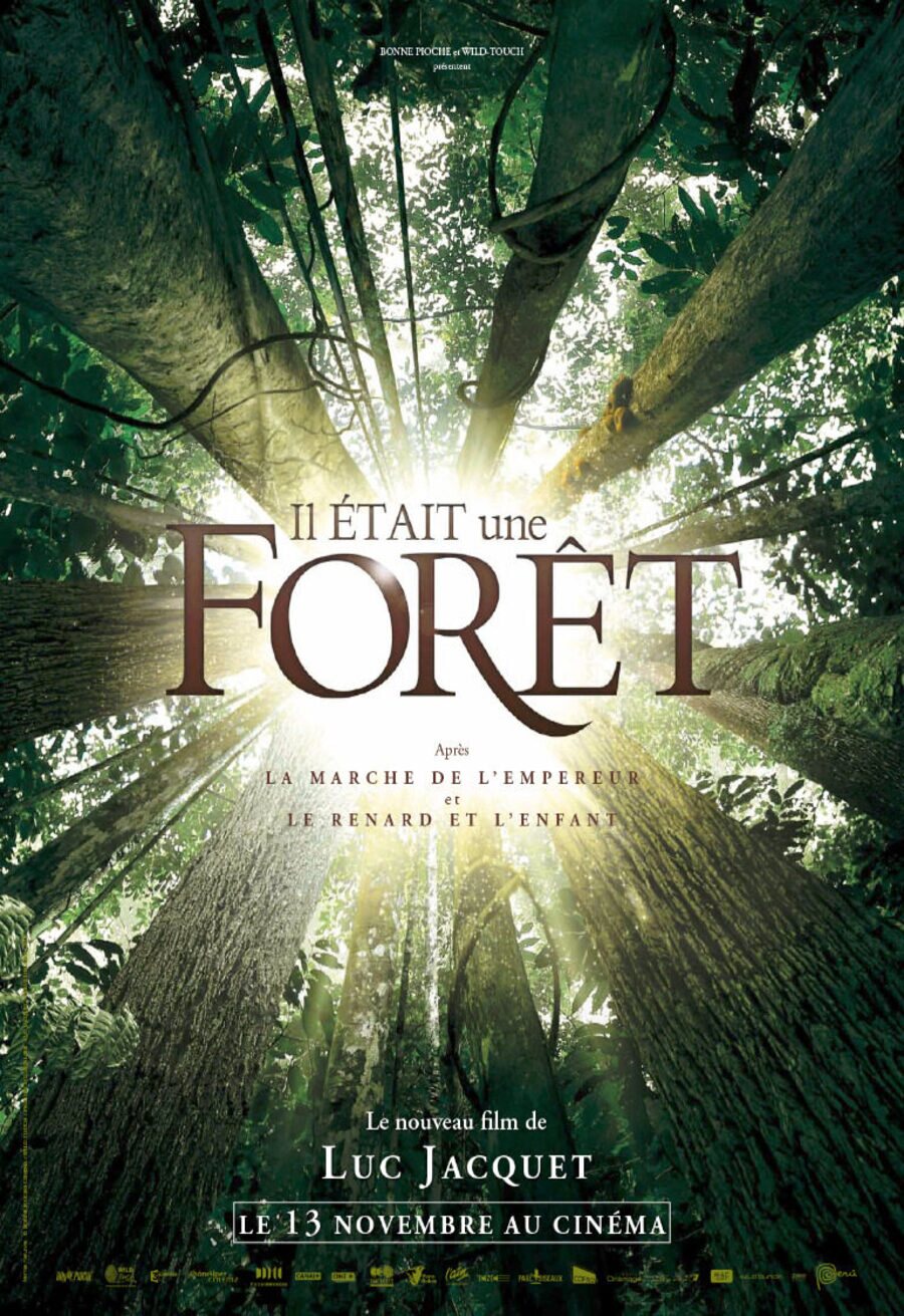 Cartel de Il était une forêt - Francia