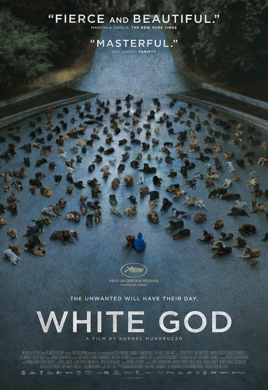 Cartel de White God (Dios blanco) - Hungría