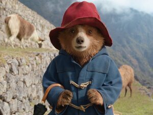 Paddington: Aventura en la selva