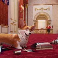 The Queen's Corgi