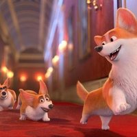 The Queen's Corgi