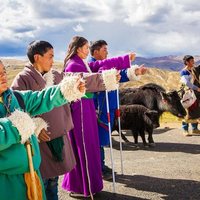 Ballad From Tibet