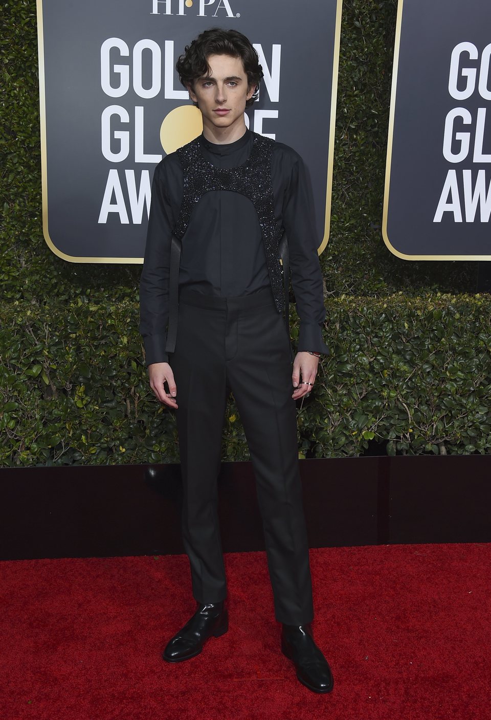 Timothée Chalamet en la alfombra roja de los Globos de Oro 2019