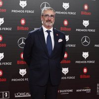 Javier Fesser en la alfombra roja de los Premios Feroz 2019