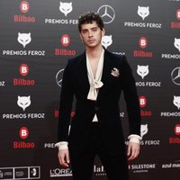 Eduardo Casanova en la alfombra roja de los Premios Feroz 2019