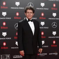 Pedro Casablanc en la alfombra roja de los Premios Feroz 2019