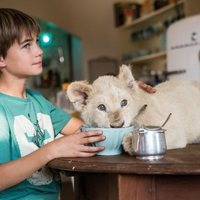 Mia y el león blanco