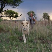 Mia y el león blanco