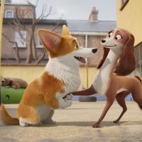 Corgi, las mascotas de la reina