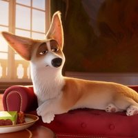 Corgi, las mascotas de la reina