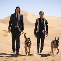 John Wick: Capitulo 3- Parabellum