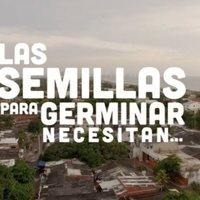 Semillas de alegría