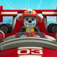 Paw Patrol: Ready, Race, Rescue!