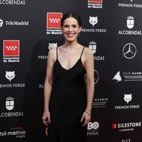 Nuria Gago en la alfombra roja de los Premios Feroz 2020