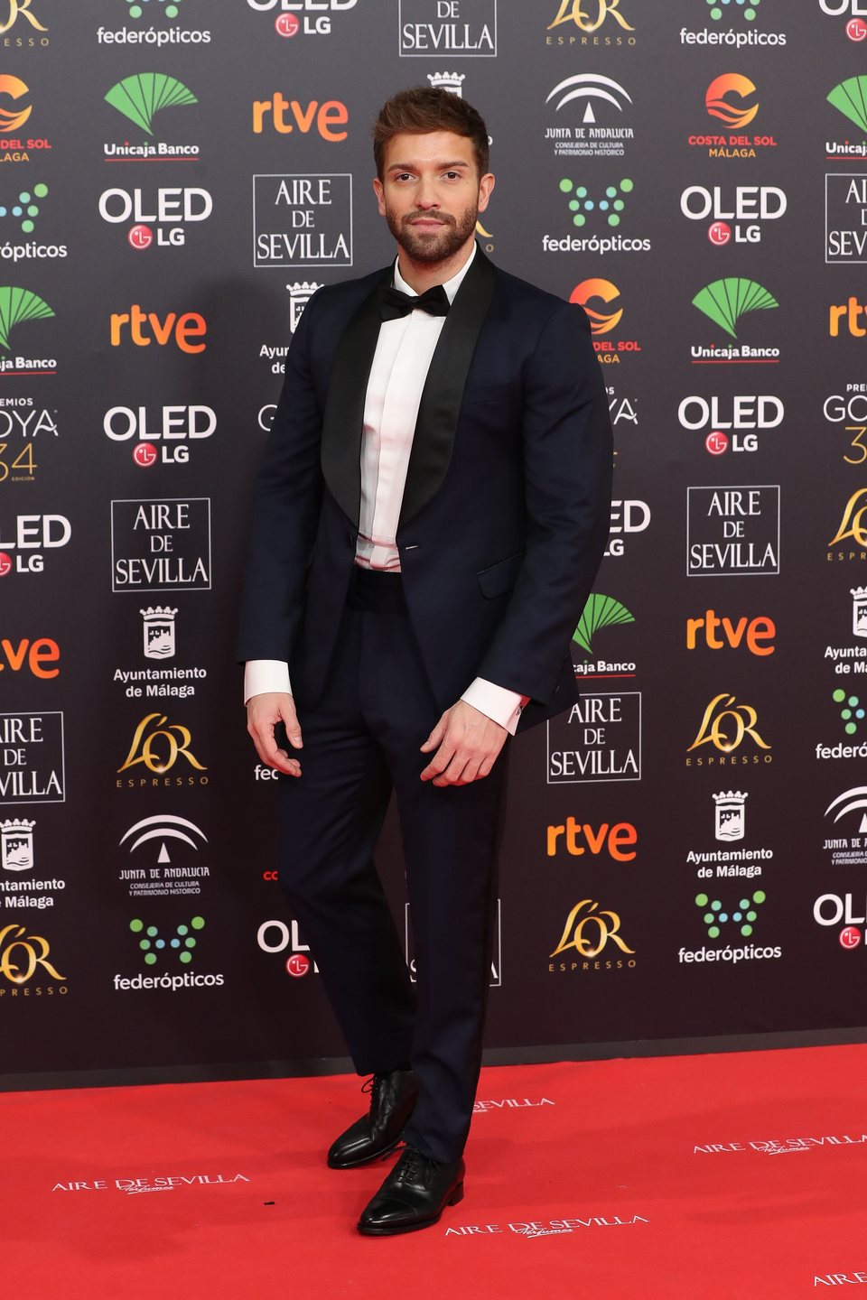 Pablo Alborán en la alfombra roja de los Goya 2020