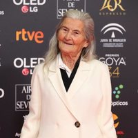 Benedicta Sánchez en la alfombra roja de los Premios Goya 2020