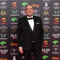 Karra Elejalde en la alfombra roja de los Premios Goya 2020